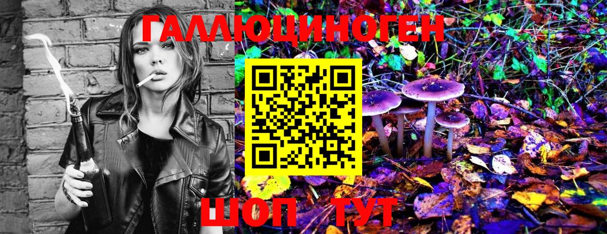 Псилоцибиновые грибы Psilocybine cubensis Тихорецк